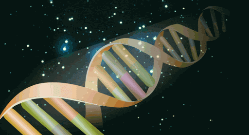 کریسپر آف فناوری ویرایش ژن جدید
